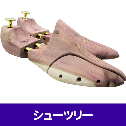 �V���[�c���[